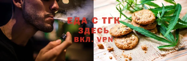 индика Алексин