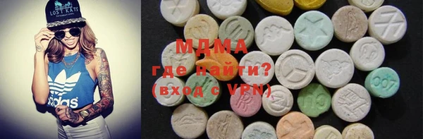 индика Алексин