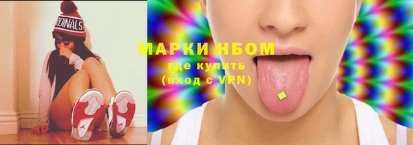 индика Алексин