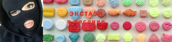 индика Алексин