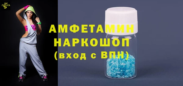 индика Алексин