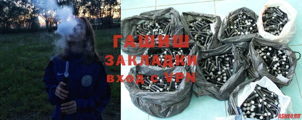 индика Алексин