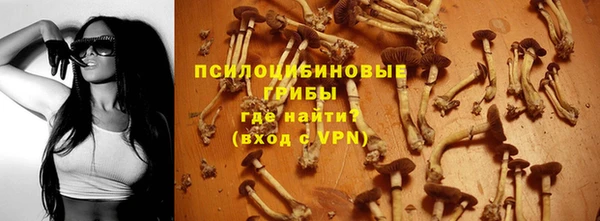 Альфа ПВП Липки