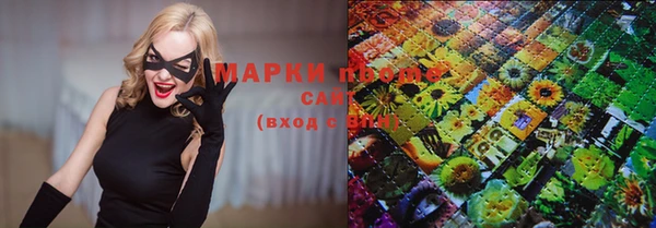 индика Алексин